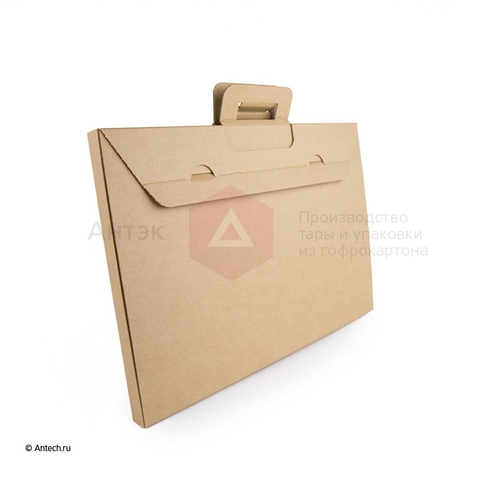 Коробка с ручкой для картины 600x430x30 мм Т−24B бурый (фото 4) – купить в Москве